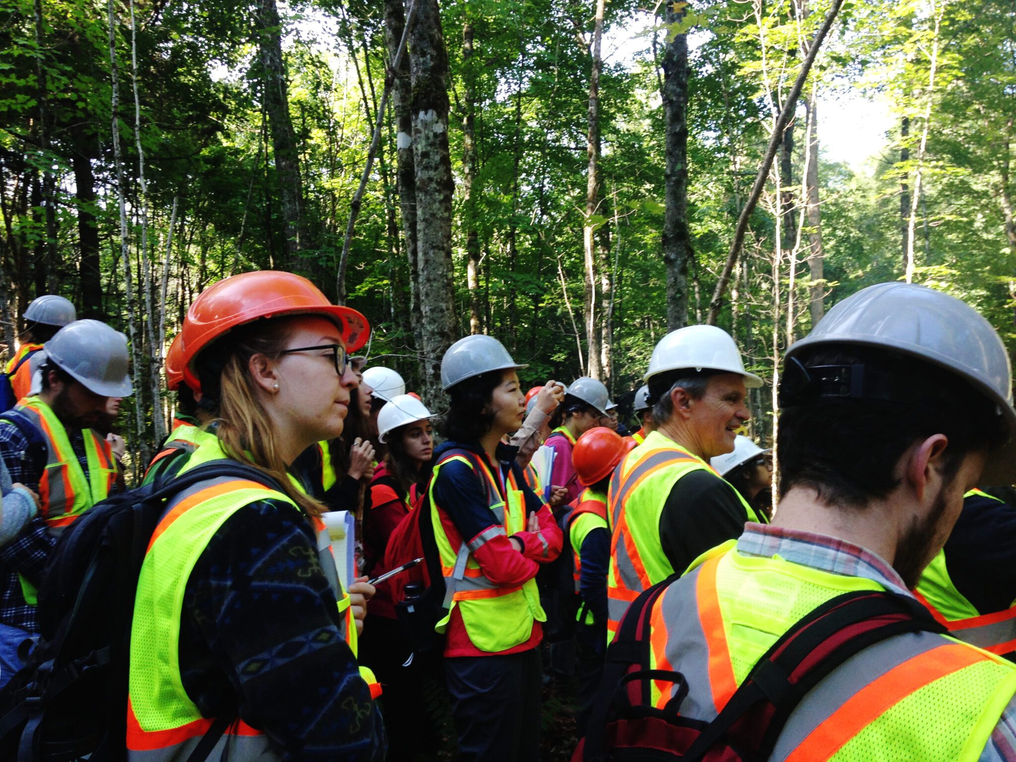  Environmental studies and forestry